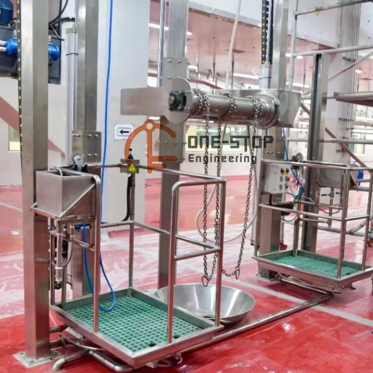 Cow slaughterhouse with meat processing and boning machines