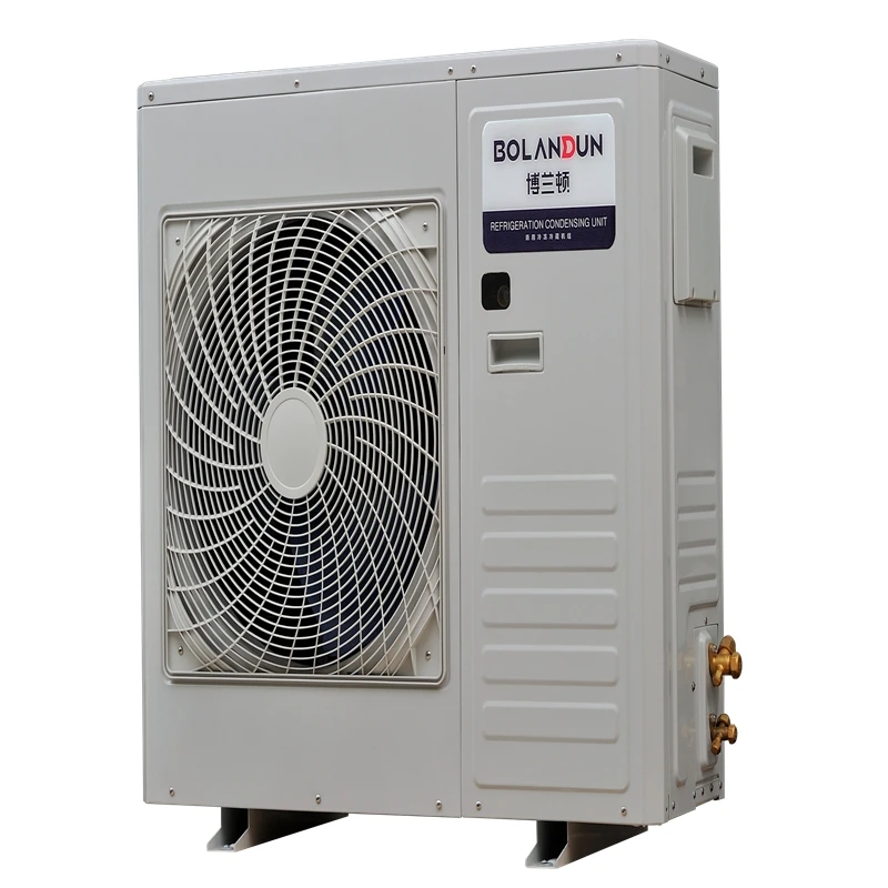 Vertical Refrigeration Compressor R404A for External Condensing Unit Cold Room Parts