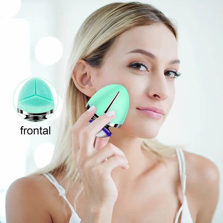 Multifunction Facial Cleansing Brush Ems Facial Massager Led Light