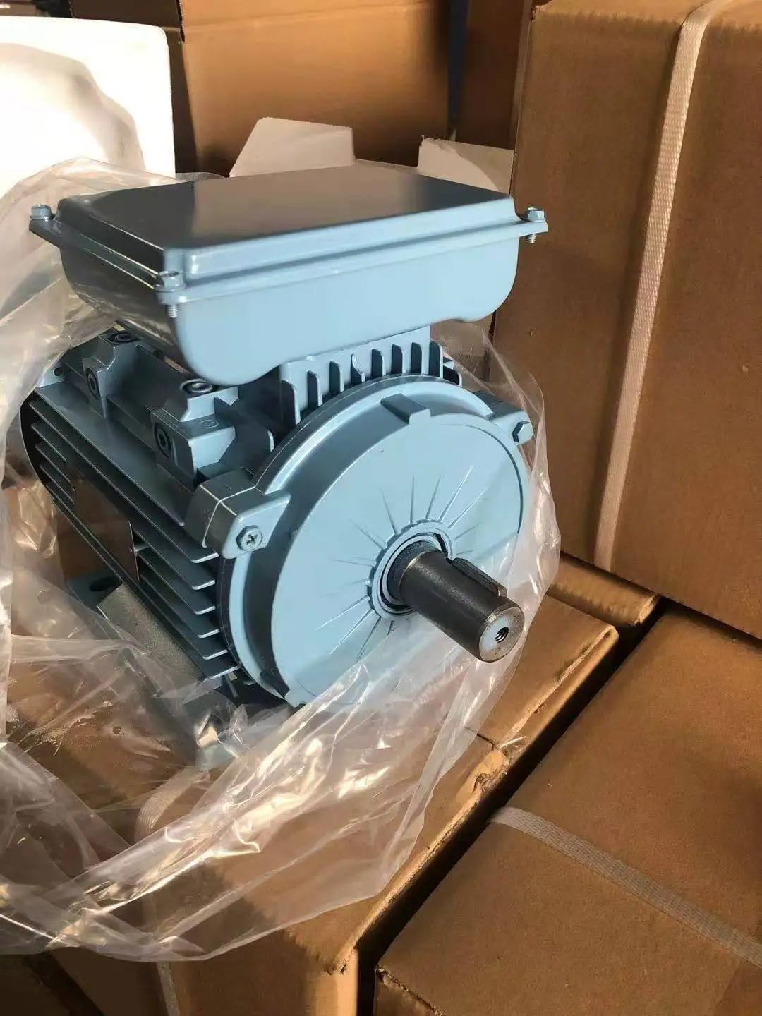 Phase Electric Vibration Motor, NO - detail 56