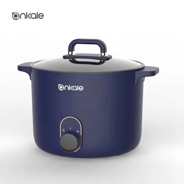 Hot selling Non-stick Soup Pot Electric Hotpot Pot Electric Noodles cooker mini portable travel cooker