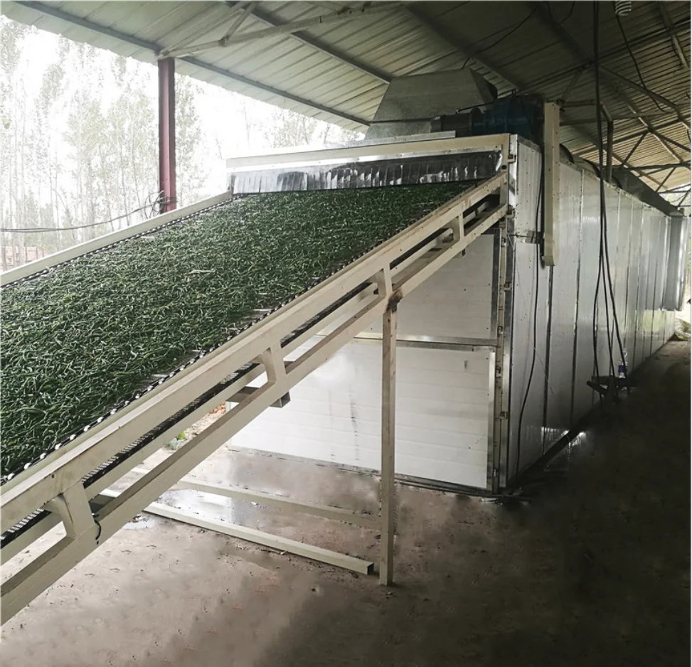 High Capacity Coal Briquettes Drying Oven Continuous Charcoal Briquette Mesh Belt Dryer