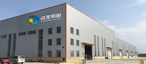 Zhongshan Diansheng Lighting Technology Co., Ltd.