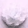 White MF001