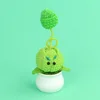 Plantes de chou en pot