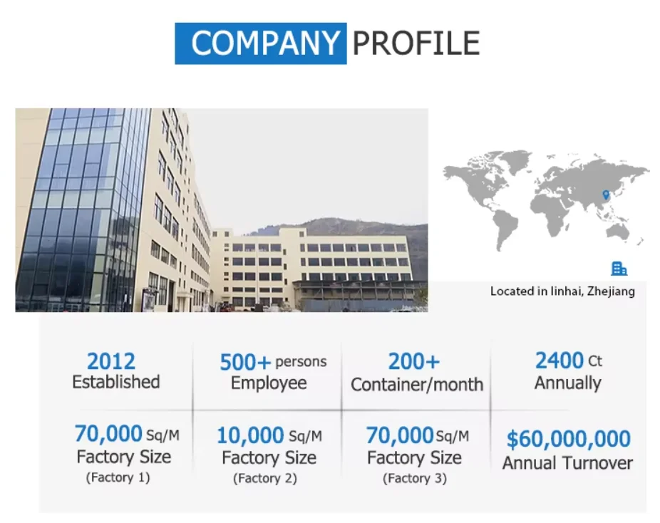 Company overview
