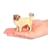 2914 Chiot Berger Cauchois