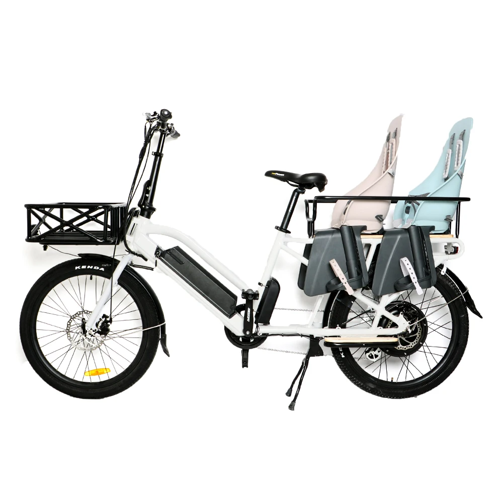 electric family bike
