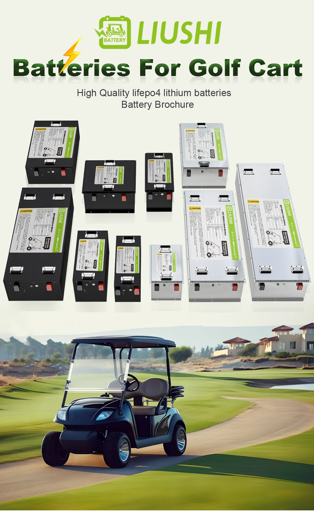 48v100ah Lifepo4 Lithiumion Electric Golf Cart Lithium Battery Pack