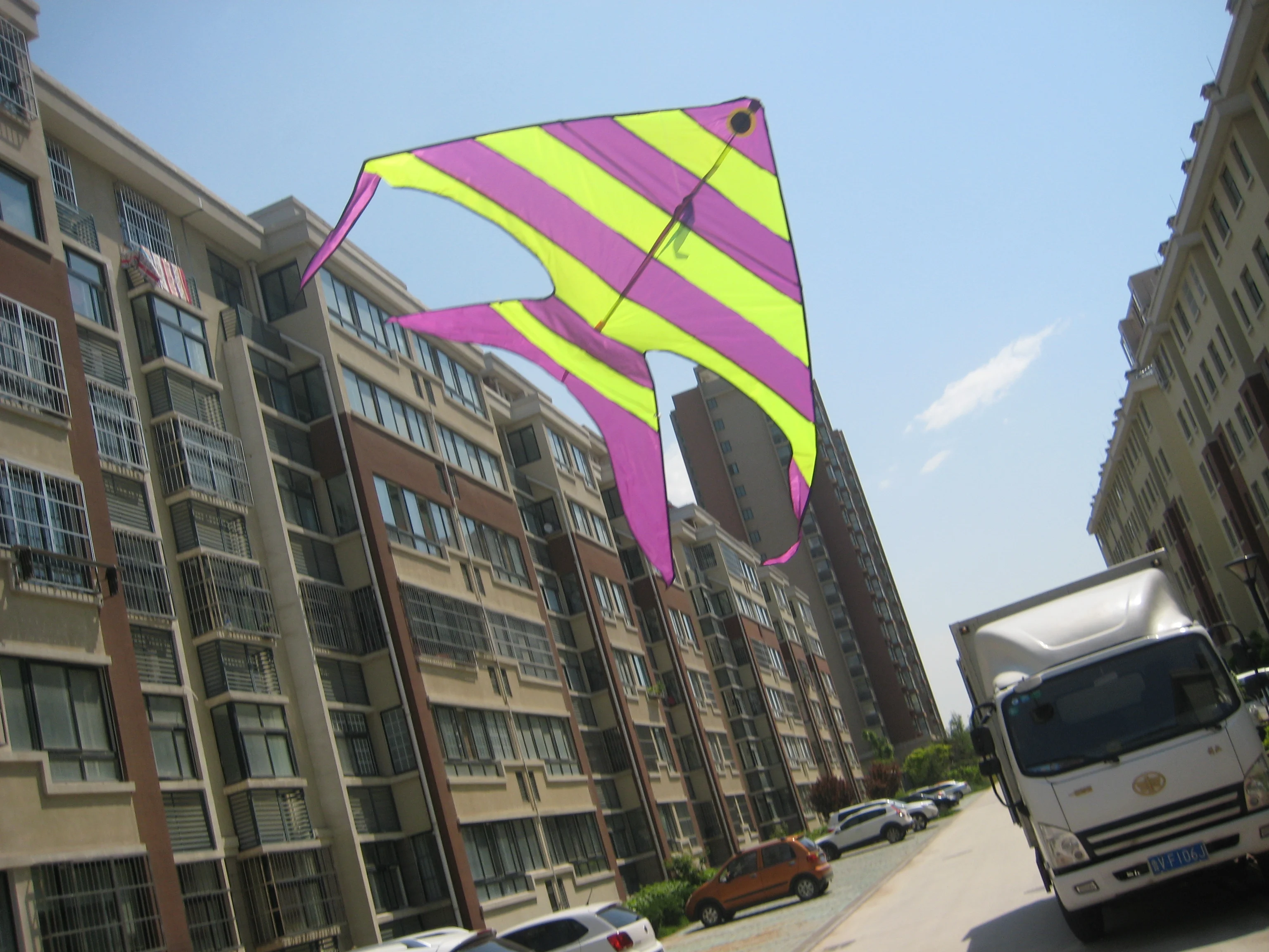 Brand New Weifang Kite For Promotion