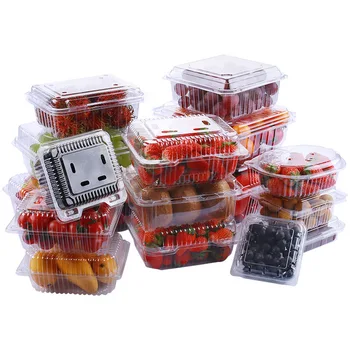 Reusable Plastic Fruit Vegetable containers for Fresh Keeping Food Storage Boxes with Lids Transparent Disposable