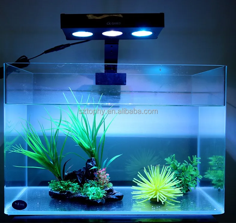 自然照明led水族箱盐水海水光珊瑚生长鱼缸 Buy Led水族盐水光 盐水光珊瑚生长鱼缸 珊瑚生长鱼缸光product On Alibaba Com