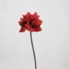 Boule de glaïeul (rouge)