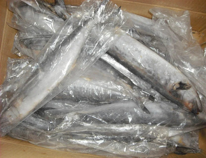 Замороженная испанская скумбрия IQF Scomberomorus Niphonius King Fish