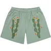 06 Green Cacti