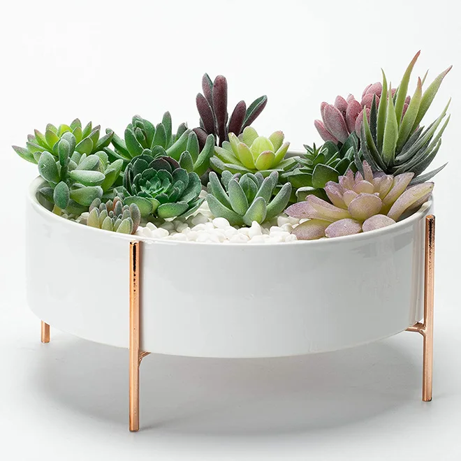 indoor pots for large plants JOFAMY Ceramic Flower Pots Indoor, 2 Pack Modern Country Planter with  Drainage Holes and Mesh Pad, Tree Texture Design 4.5 and 5.2 Inch Plant Pot,  Indoor Outdoor Planter for Balcony Desk Office Decor — Jofamy main image 0