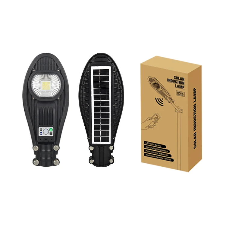 20W 40W 60Watt Intelligent Control System Outdoor Rechargeable Solar Panel Street light