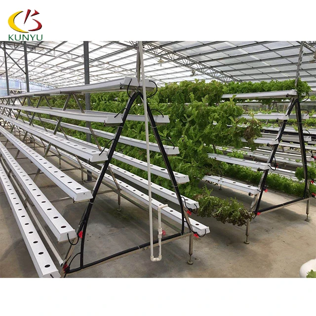 Foshan Kunyu High Efficient Hydroponic Systems Vertical  Greenhouses for Strawberries