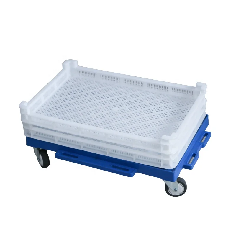 G2G Perforated Drying Trays