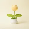 Planta de tulipán amarillo en maceta.