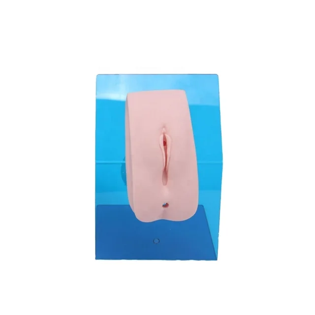 DARHMMY Advanced Medical PVC Model for Urethral Catheterisation Dress Code Simulation  for Female for Training and Hospitals