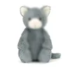 Gatto grigio timido