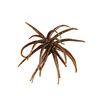 Un mini marron 7cm 1,6g