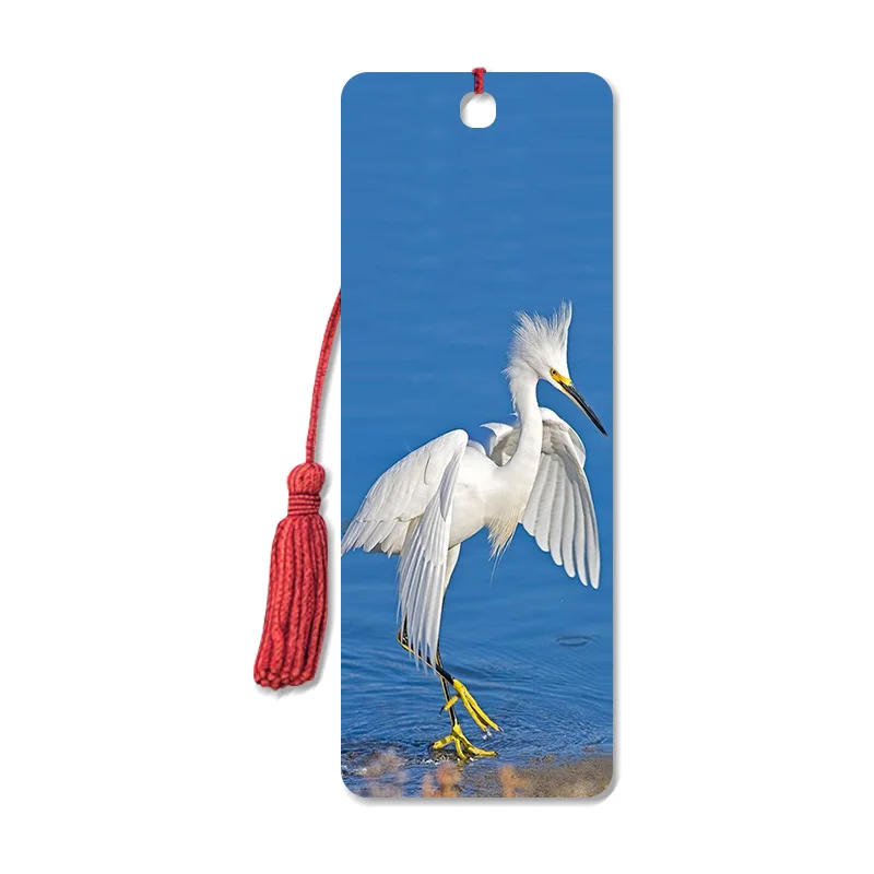 3D Lenticular Printing Bookmarks With Tassel