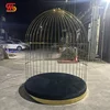 Oro y negro