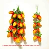 Mango rosso