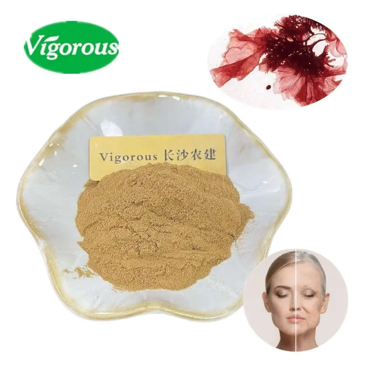 Pure Natural Free Sample Microalgaes Porphyridium Purpureum Extract Powder