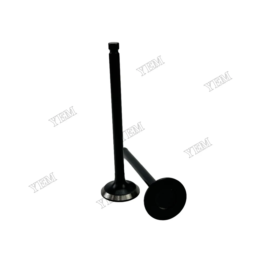 Exhaust Valve Fit for Mitsubishi S3L Engine 3