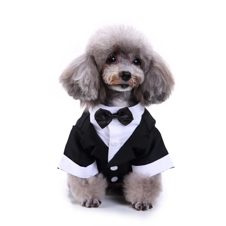 formal dog dress Woofylove Special Events Dog Dress: Make Every Occasion Unforgettable –  Barkwow