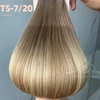 T5-7/20