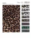 Carte de couleurs