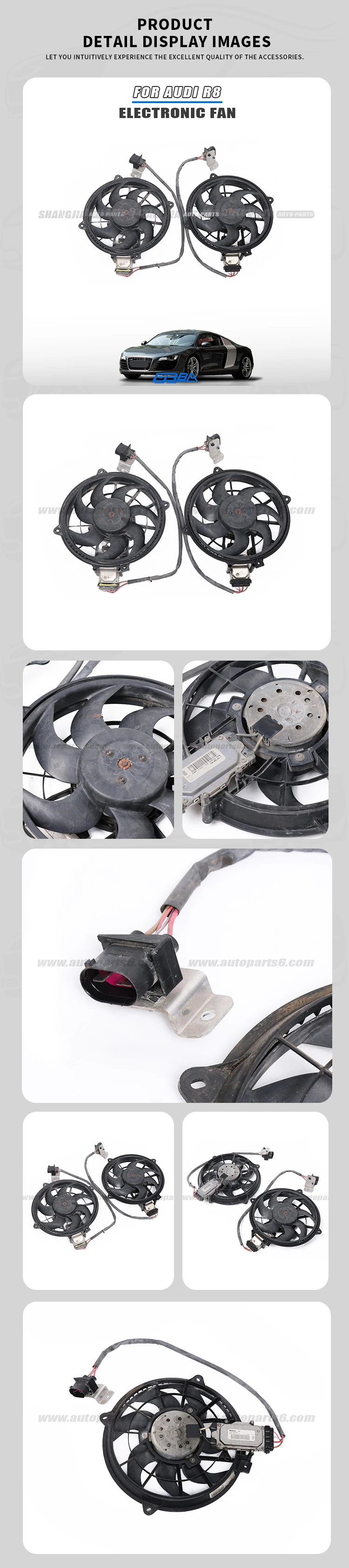 Cooling System Electric Fan For Audi R8 OE 3136613284 manufacture