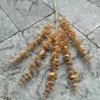 สีน้ำตาล ข้อเสนอพิเศษ แกงยูคาลิปตัส 5 ส้อม