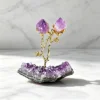 Unguento ai Fiori di Cluster