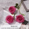 Rosa Madder 3