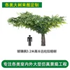 Enlace de depósito de columna de árbol de baniano semiencapsulado de fibra de vidrio de 3,2 m de altura