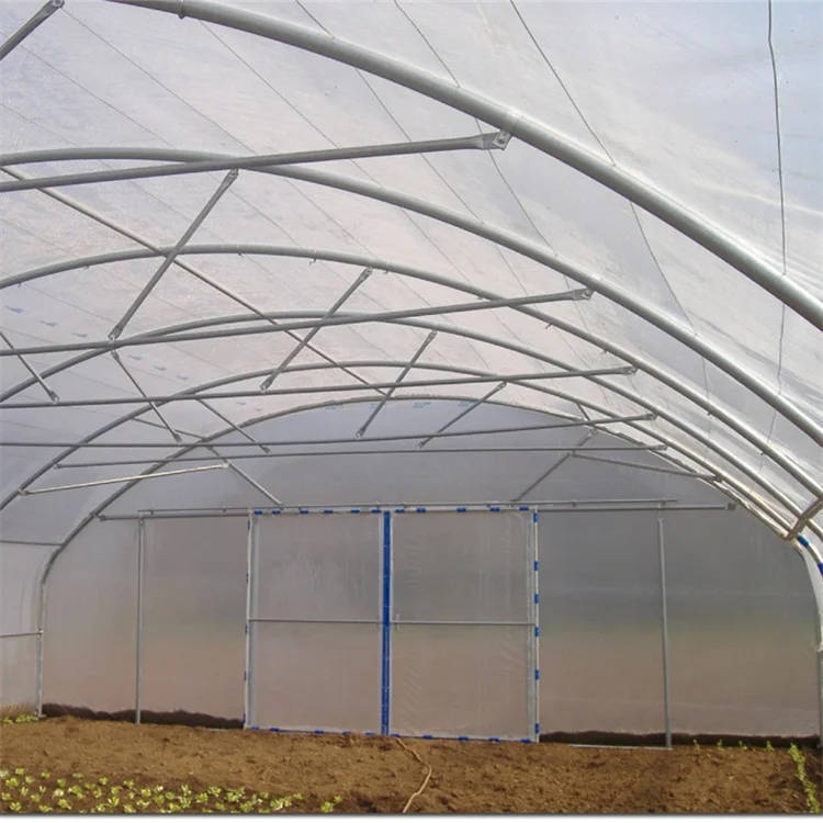 Low Cost Tunnel Greenhouse Galvanized Steel Frame Single Span Pe Film