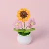 Small Sunflower + Pink Double Puff - Potted Plant