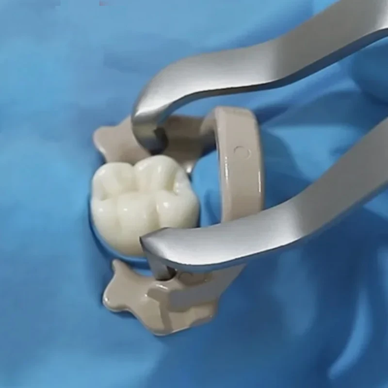 LK-1083歯科用ダムラバーダムクランプセットセパレーターリング