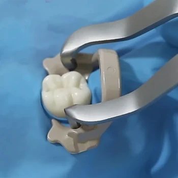 歯科　ラバーダムセット Amazon.co.jp: プレミアム歯科用ゴムダムクランプセット | ゴム