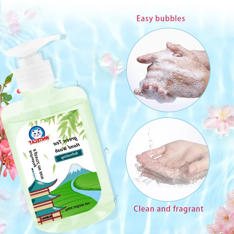 ODM OEM 500ml custom wholesale bulk liquid 500ml anti bacterial hand soap bulk luxury hand soap wash liquid hand wash factory