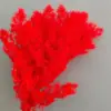 Gorgeous red