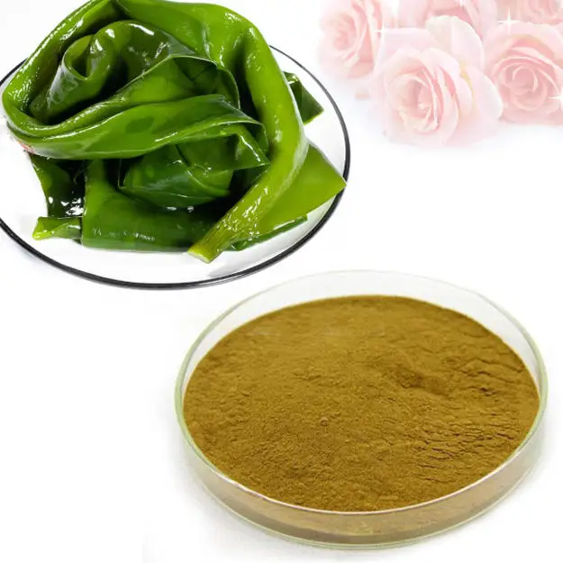 Factory Supply High Quality Kombu Extract Kombu Extract Powder Buy