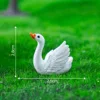 5#Cigno