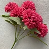 Rose red