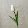 Pure white